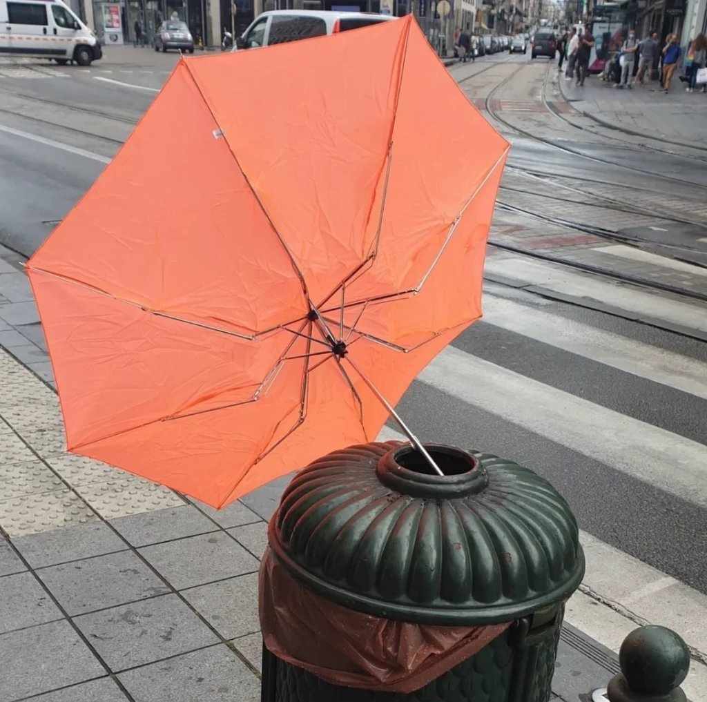 Marypup rescuing broken umbrellas to give them new life